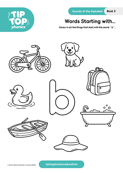 Worksheets for Sounds of the Alphabet: b c g h (Book 3 - A Big Cat)